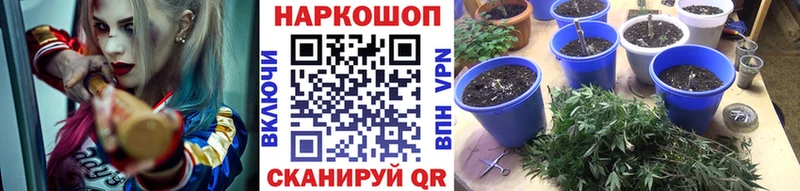 Купить закладку Клин Alpha PVP Cocaine ГАШИШ МАРИХУАНА