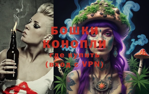 молекула духа Алексин