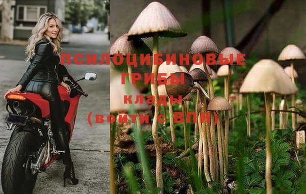 мескалин Алзамай