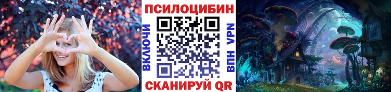 купить наркотики сайты  Клин  Галлюциногенные грибы Cubensis 